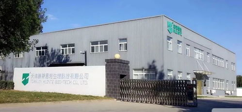 天津京津电子商务产业园 高质量发展的蝶变之旅
