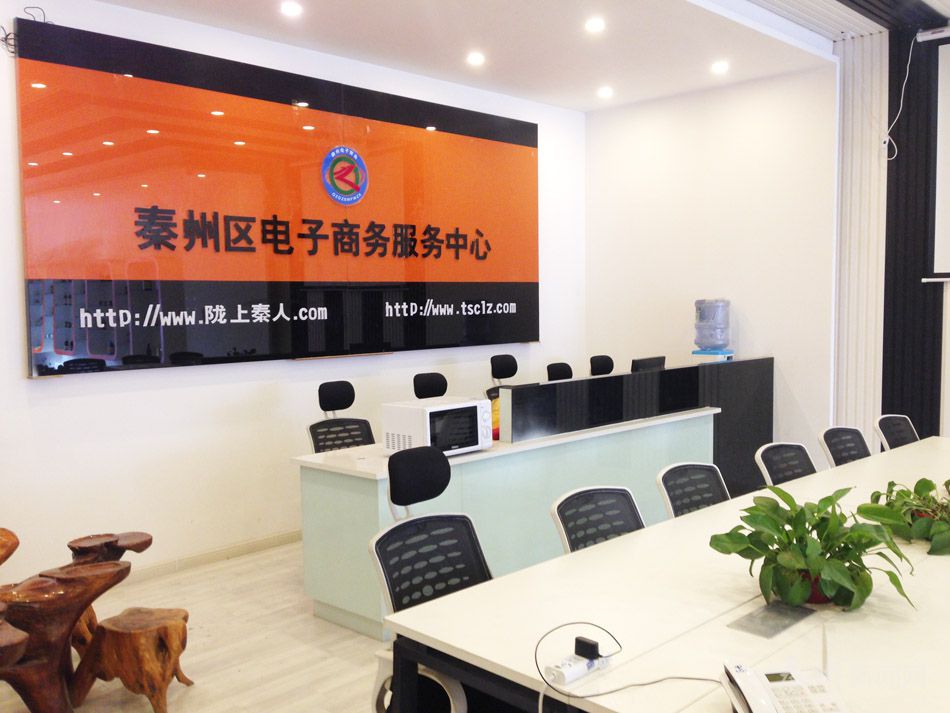 【喜迎党代会】秦州 触电扶贫新型动力源（组图）