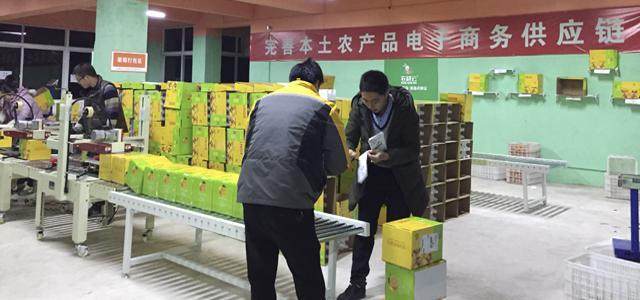 借力农村电商&ldquo;东风&rdquo;助推金堂柑橘销往全国
